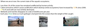 ocean facts
